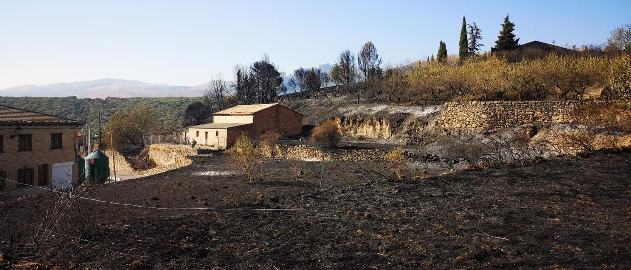 Campos muy próximos a viviendas de Añón de Moncayo, completamente calcinados