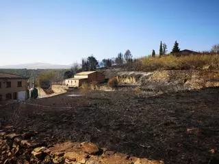 EL PERIÓDICO, en el kilómetro cero del incendio del Moncayo