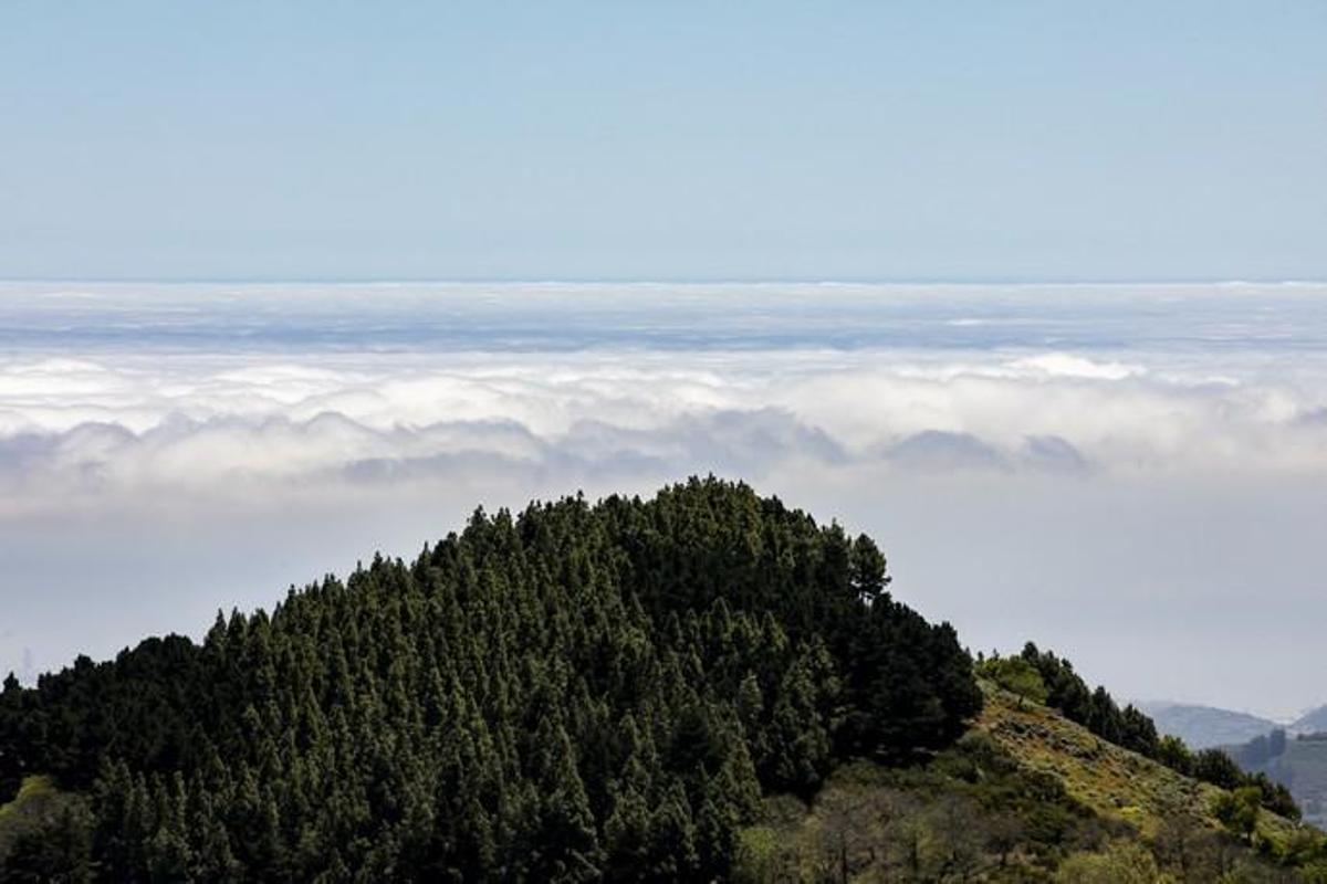 10.05.19. Valleseco, Gran Canaria. Meteorología, tiempo. Valleseco. Foto Quique Curbelo  | 10/05/2019 | Fotógrafo: Quique Curbelo