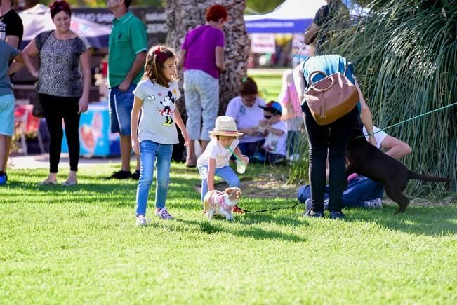 10/12/2016 MASPALOMAS. Feria de Mascotas Maspalomas 2016.Foto: SABRINA CEBALLOS