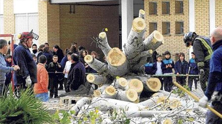Los alumnos del colegio Niño Jesús observan a los bomberos retirando el álamo abatido por el viento.