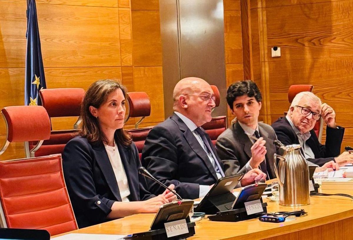 La senadora del PP por Córdoba Cristina Casanueva, ayer en el Senado.