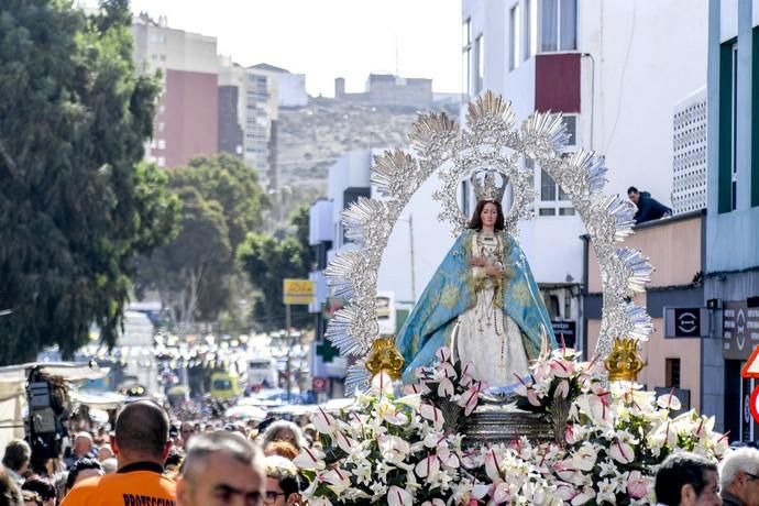 08-12-19 GRAN CANARIA. JINAMAR. JINAMAR. TELDE. Fiesta de la Inmaculade Concepcion y de la Caña Dulce de Jinamar, feria de ganado, procesión.. Fotos: Juan Castro.  | 08/12/2019 | Fotógrafo: Juan Carlos Castro