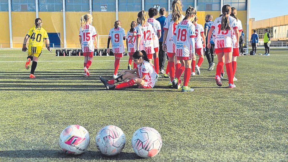Algunas de las actuaciones se llevarán a cabo en las instalaciones del pabellón Torre Sant Vicent.