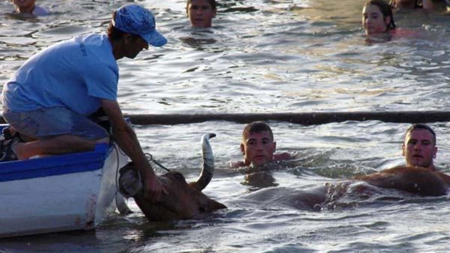 Denuncian a los «bous a la mar» de Dénia por maltrato al toro y por entrar menores