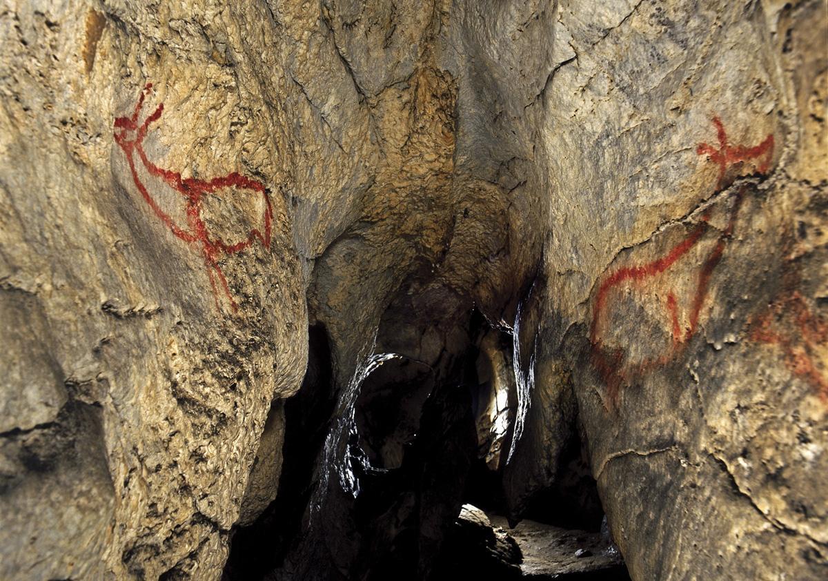 Tesoros pictóricos rupestres de la cueva de Covalanas