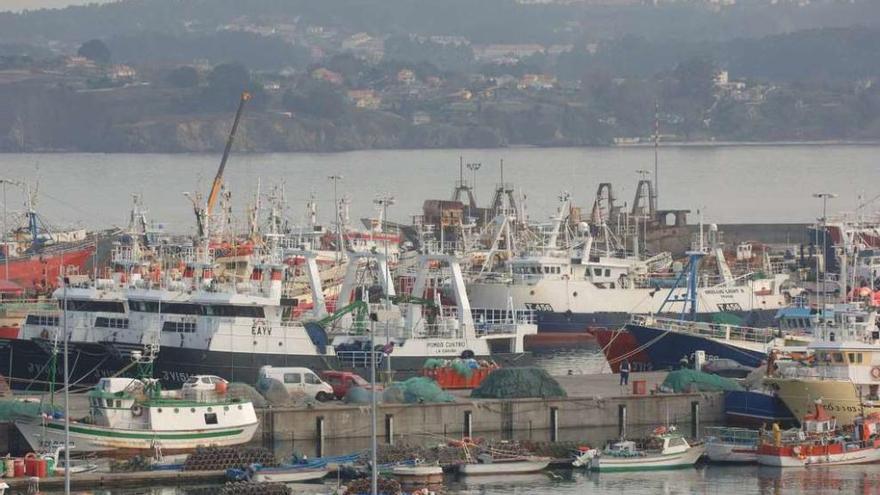 Buques pesqueros amarrados en un puerto gallego.  // Carlos Pardellas