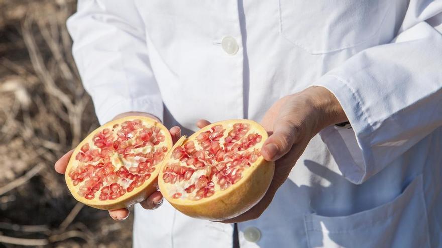 estigará cómo mejorar la calidad de la granada mollar de Elche: objetivo frenar la decoloración de la semilla