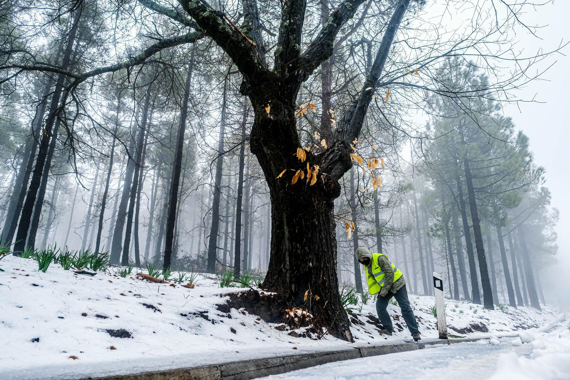 Nieve en la cumbre de Gran Canaria (15/03/2022)