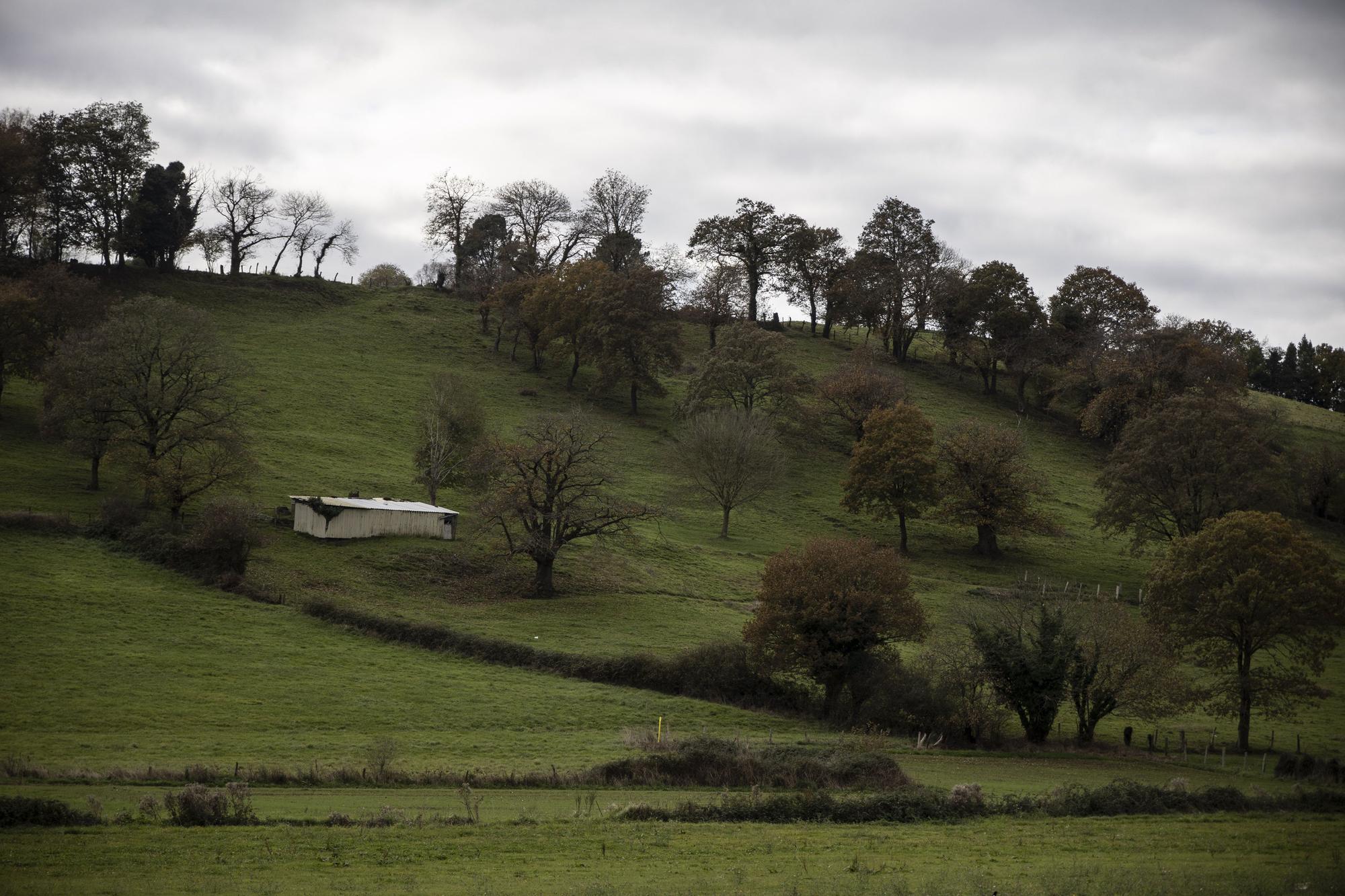 Asturianos en Sariego, un recorrido por el municipio