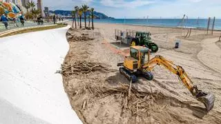 La pasarela de madera de Benidorm desaparece a todo gas: 300 metros en dos días