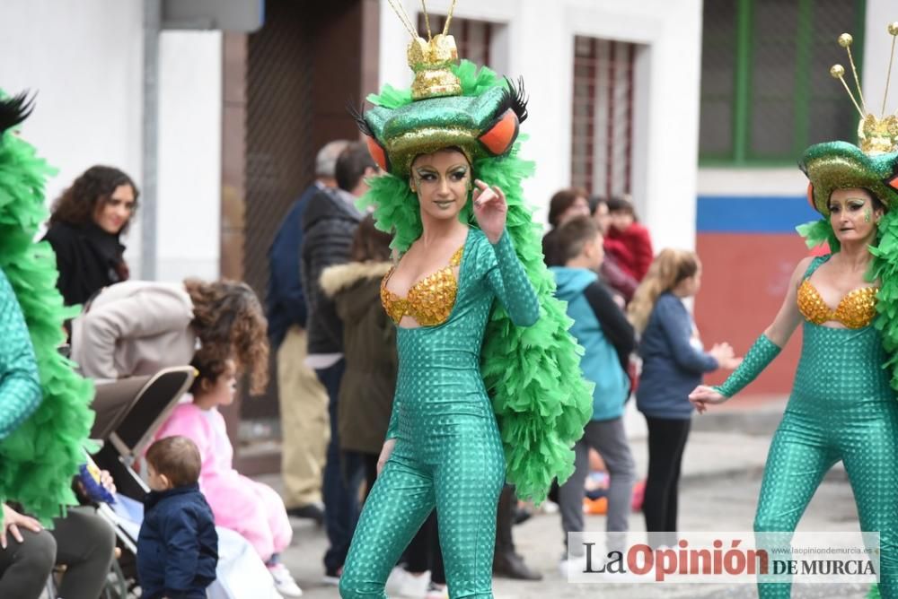 Desfile de carnaval en Cabezo de Torres (sábado 04