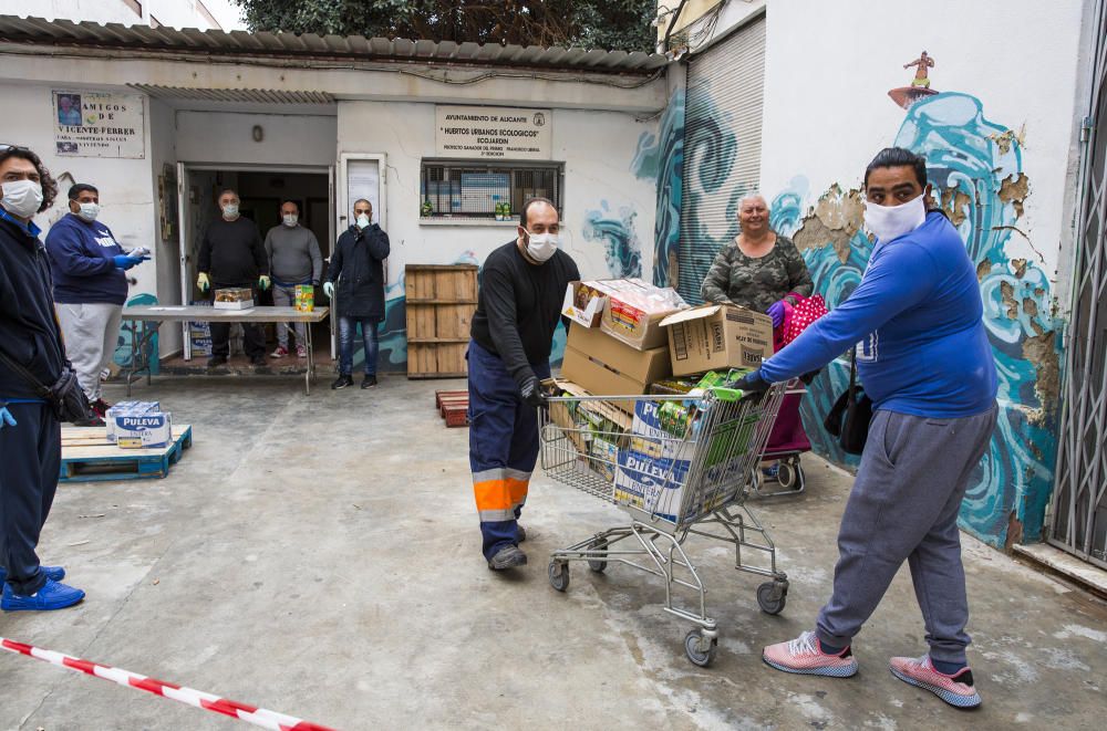 Más de 400 familias desfavorecidas han recibido alimentos de primera necesidad en los últimos días en distintos repartos que ha realizado la asociación de vecinos del barrio Miguel Hernández.