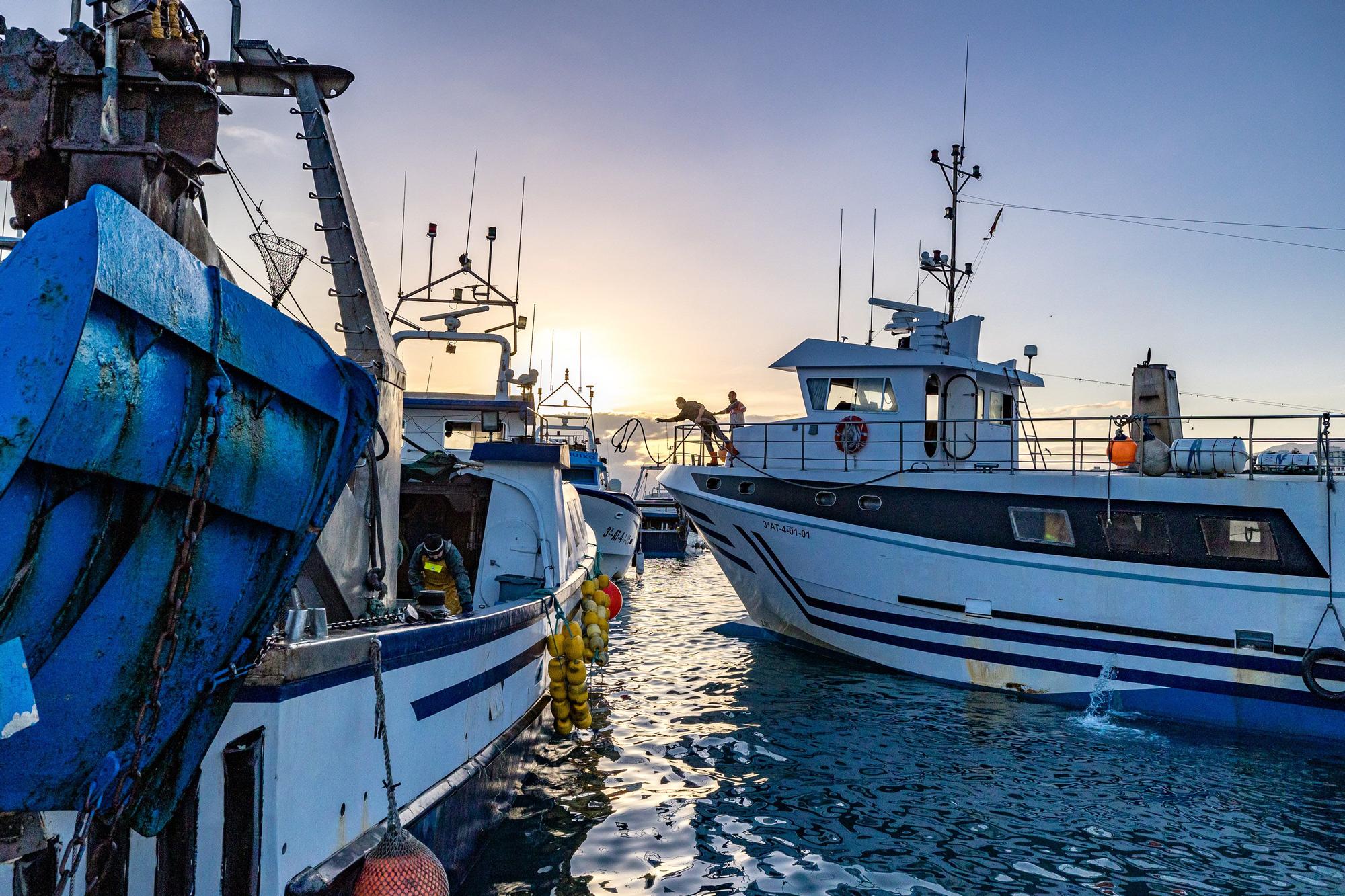 Pesca y Turismo en Villajoyosa