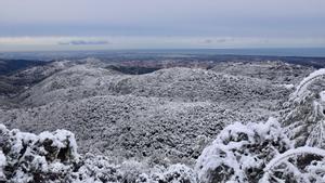 Temps a Barcelona i Catalunya: la neu arriba a Barcelona i la cota baixa a nivell del mar en diversos punts del litoral