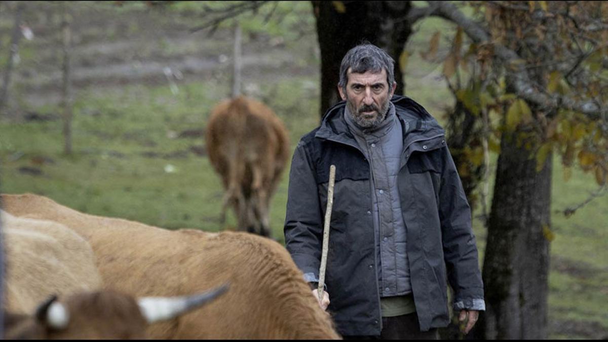 Tráiler de 'As bestas', la película de Rodrigo Sorogoyen Woman