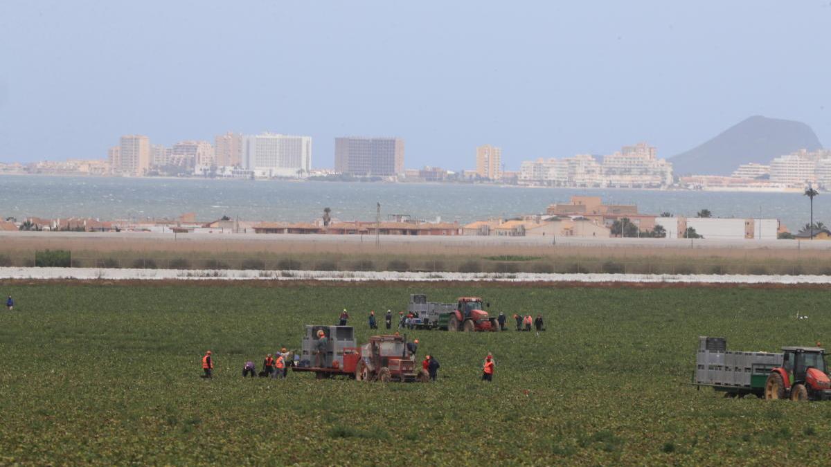 Campo agrícola en el entorno del Mar Menor