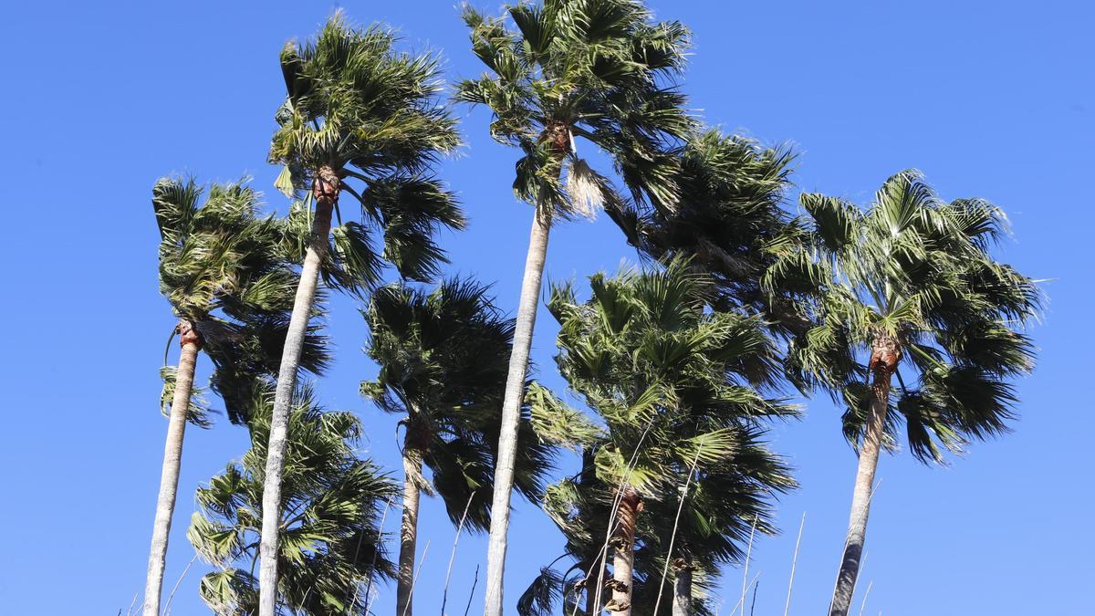 El viento de poniente subirá las temperaturas