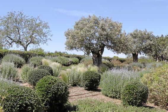 Gartenarchitektin Andi Lechte zeigt einer Reisegruppe ein Anwesen bei Santanyí. Der Entwurf stammt aus ihrer Feder.