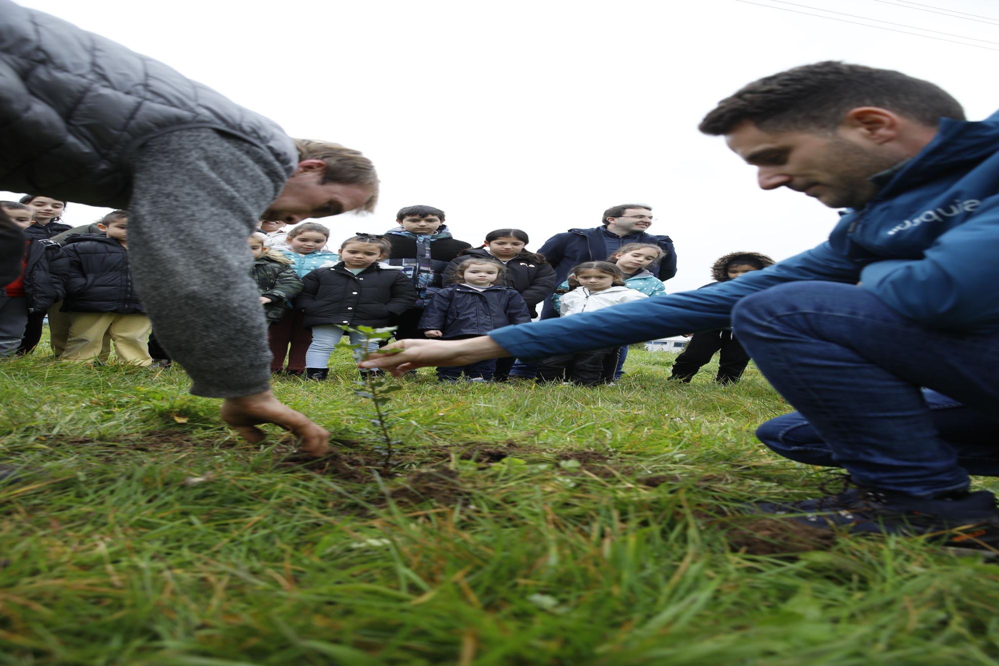 En imágenes: La alcaldesa de Gijón, en la plantación de árboles autóctonos en Somonte