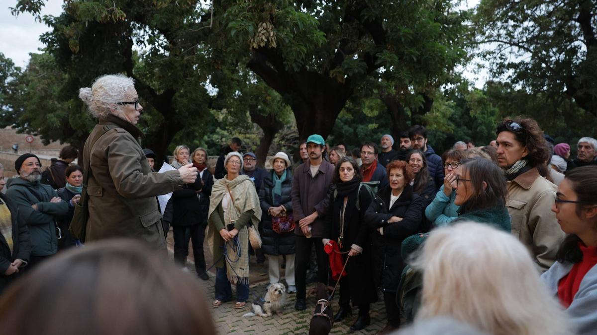 Concentración de vecinos el jueves para evitar la tala de los Bellasombra.