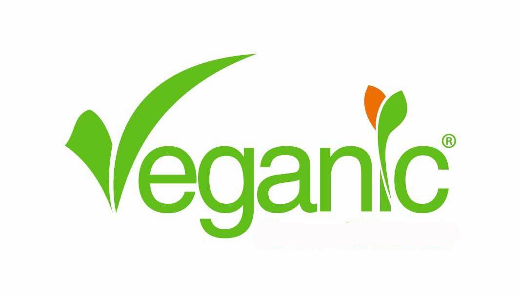 logo color mediano