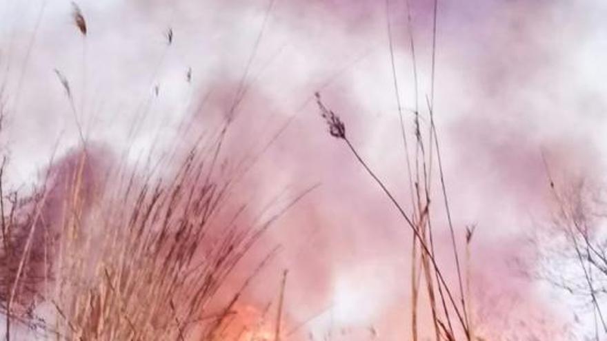 Nächtliches Feuer in S&#039;Albufera auf Mallorca