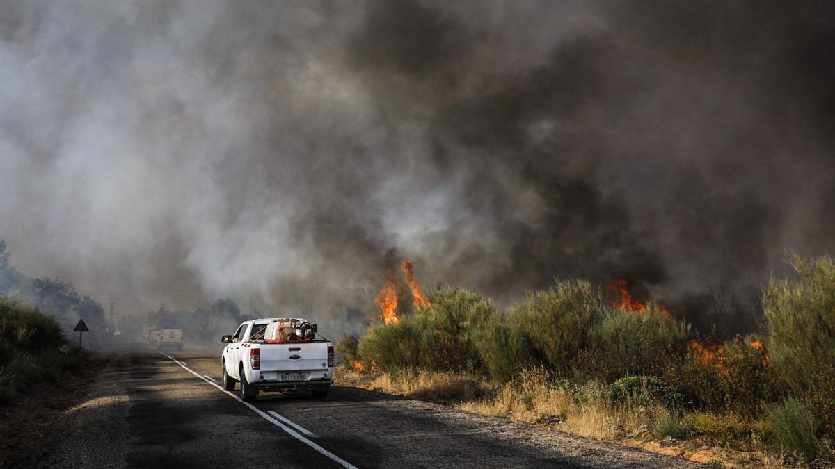 Camiones avanzan entre las llamas en Losacio, hoy