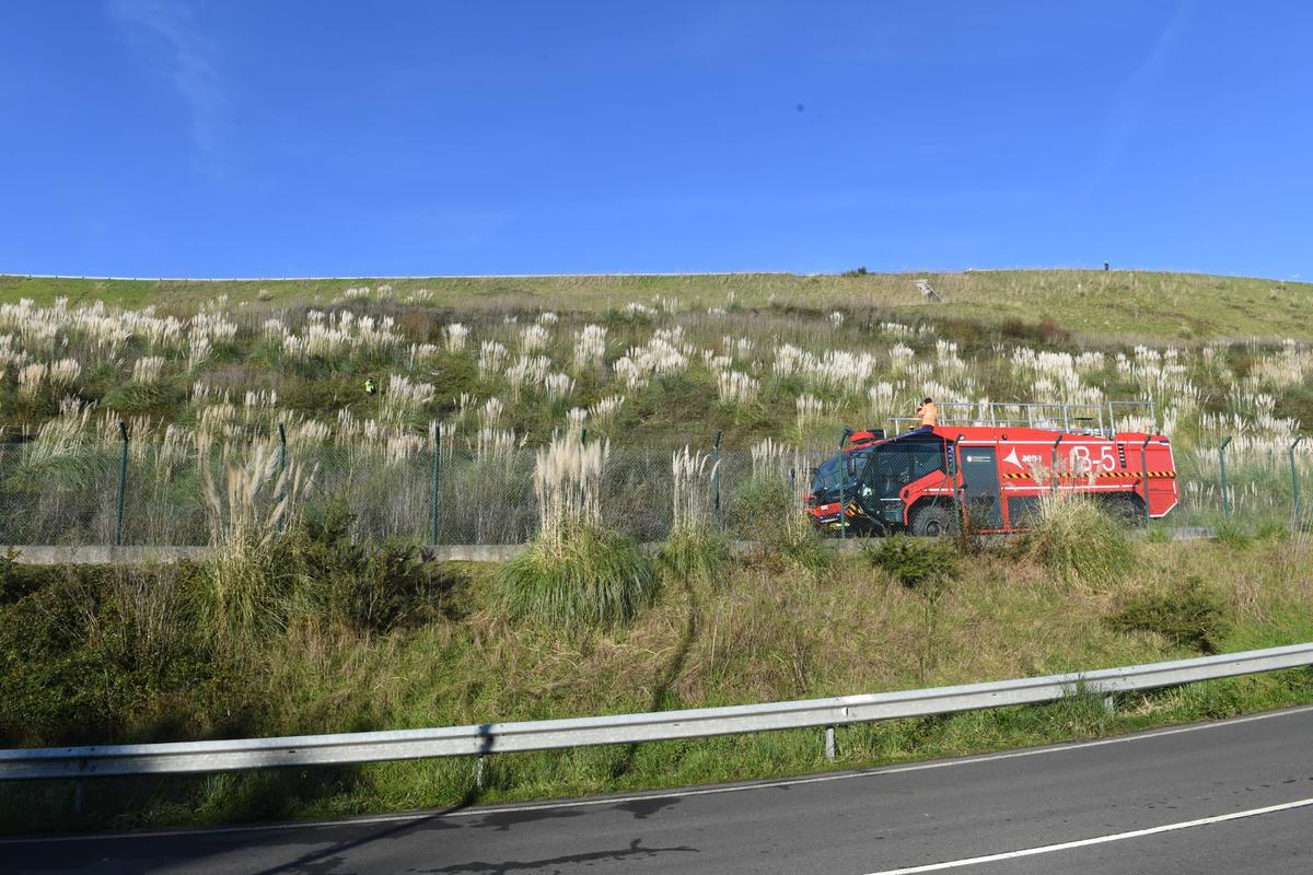 Dispositivo de caza del jabalí en el aeropuerto de Alvedro
