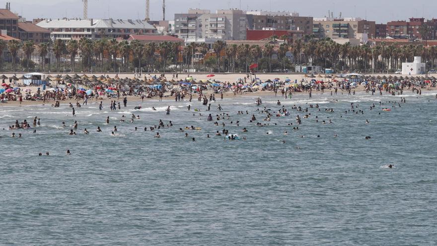 El Ayuntamiento de València advierte de una posible llegada de medusas