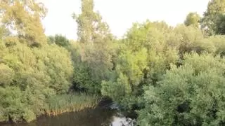 Fondenex cuestiona la legalidad de la restauración fluvial del río Zapatón