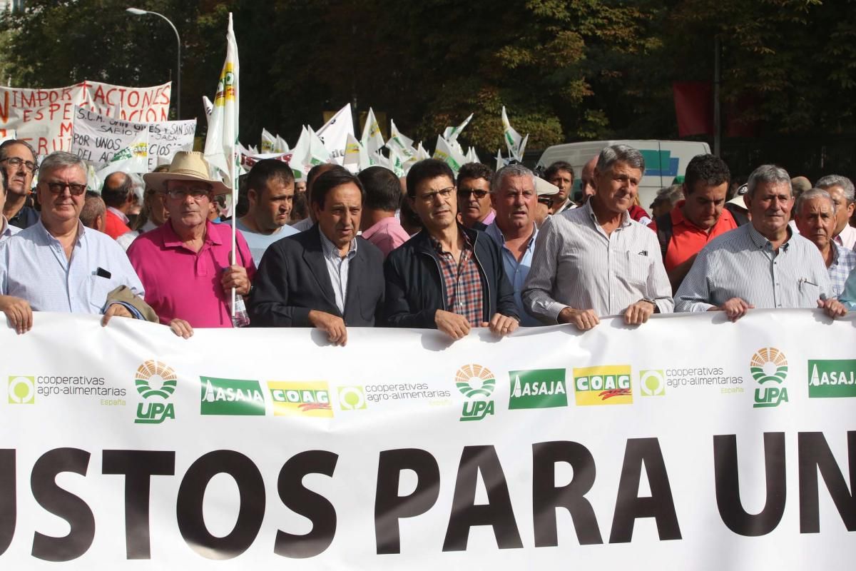 Córdoba se suma a la gran manifestación del olivar en Madrid