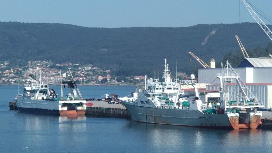 El Puerto consolida su progresión en descargas de pesca congelada y suma 94.000 toneladas este año