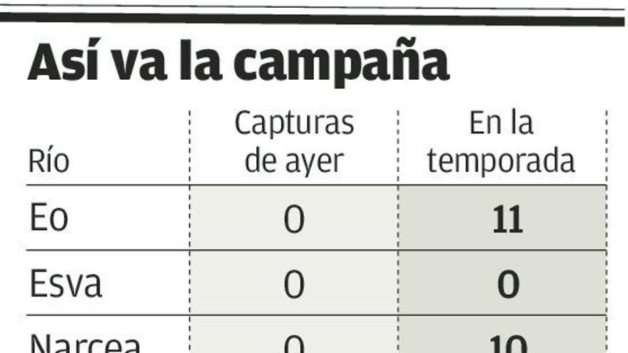 Primera jornada en blanco en los ríos asturianos