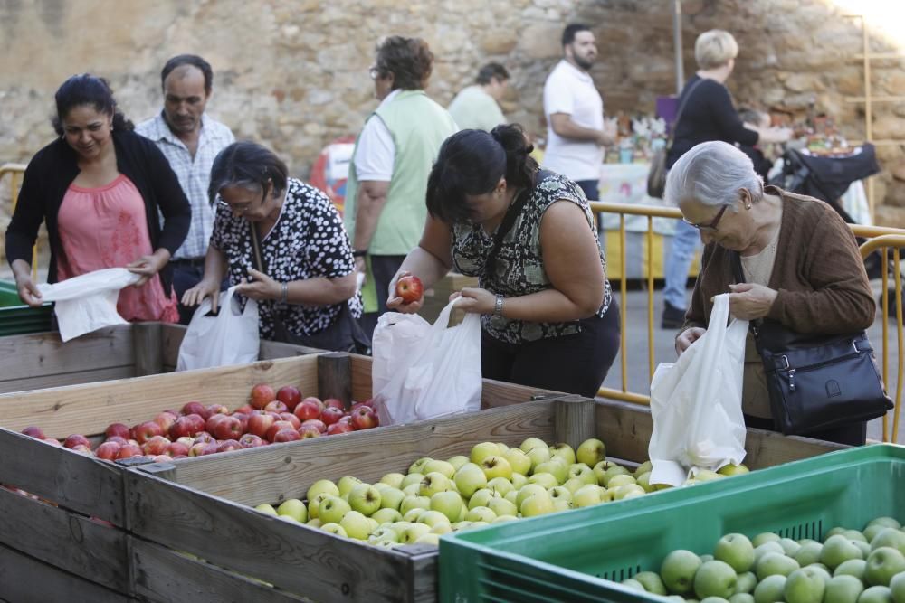 Onzena edició de la fira i mercat de la Poma d'Ullà