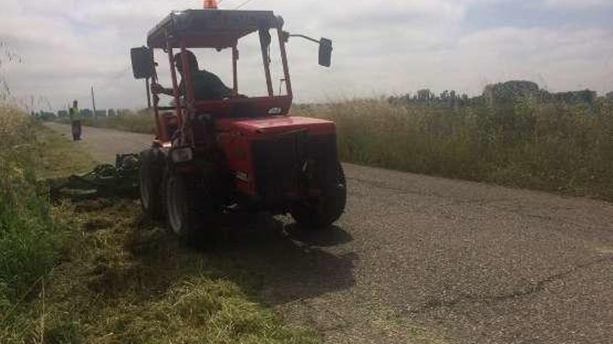 Una máquina desbroza las cunetas de la carretera a Villaralbo