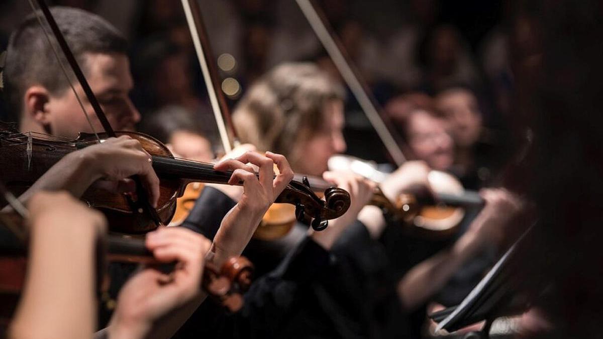 El estudio se centró en un grupo de dieciséis violinistas.