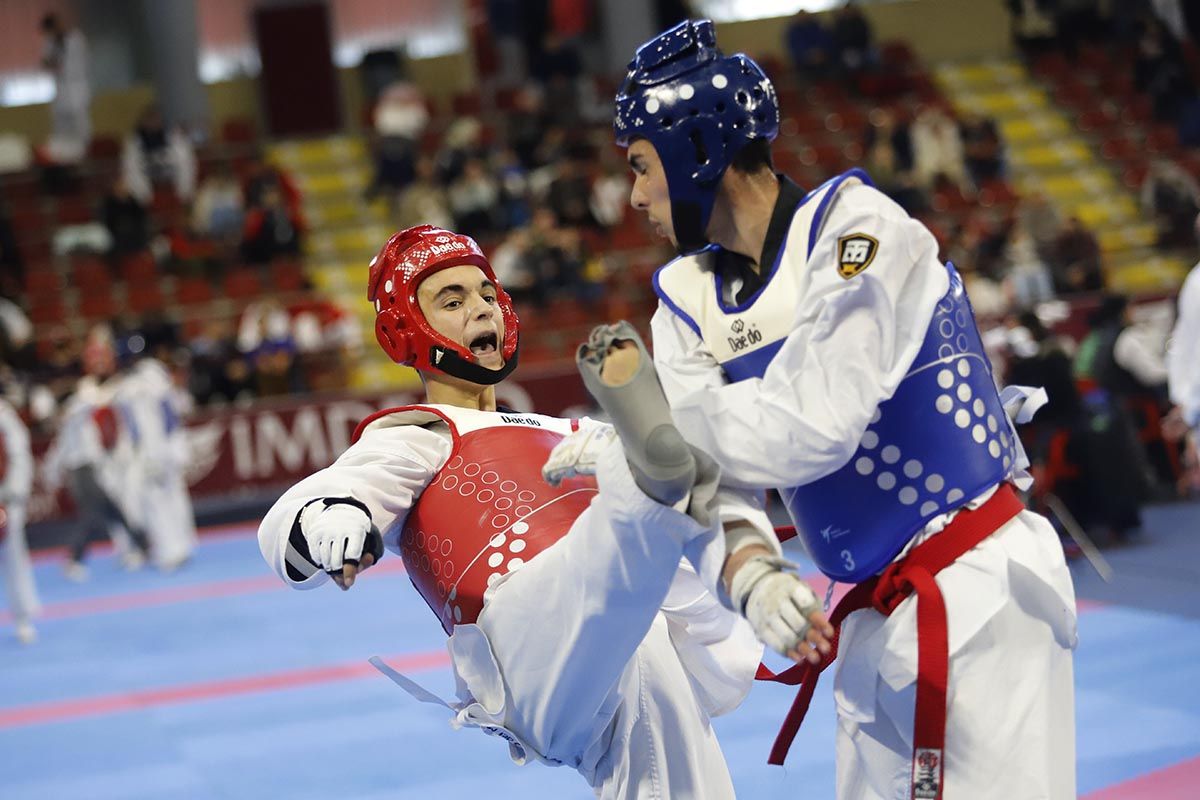 El Open Internacional de Taekwondo de Córdoba, en imágenes