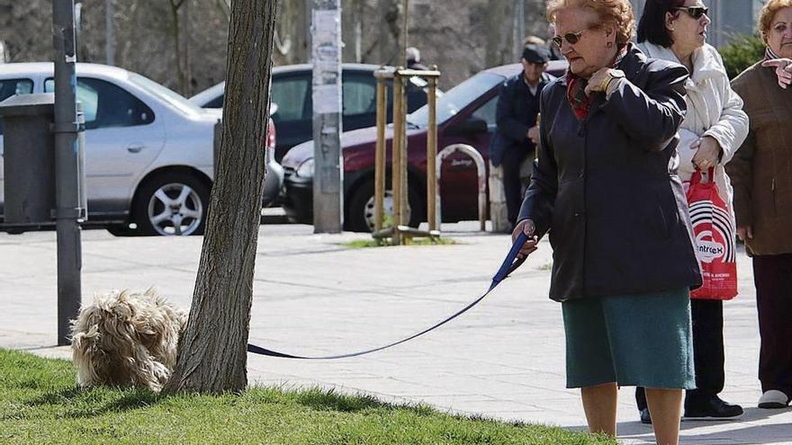 Un mujer con un perro.