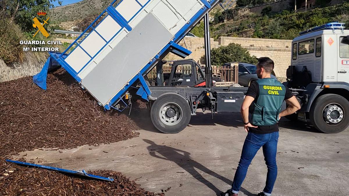 Un camión descarga las algarrobas supuestamente robadas.