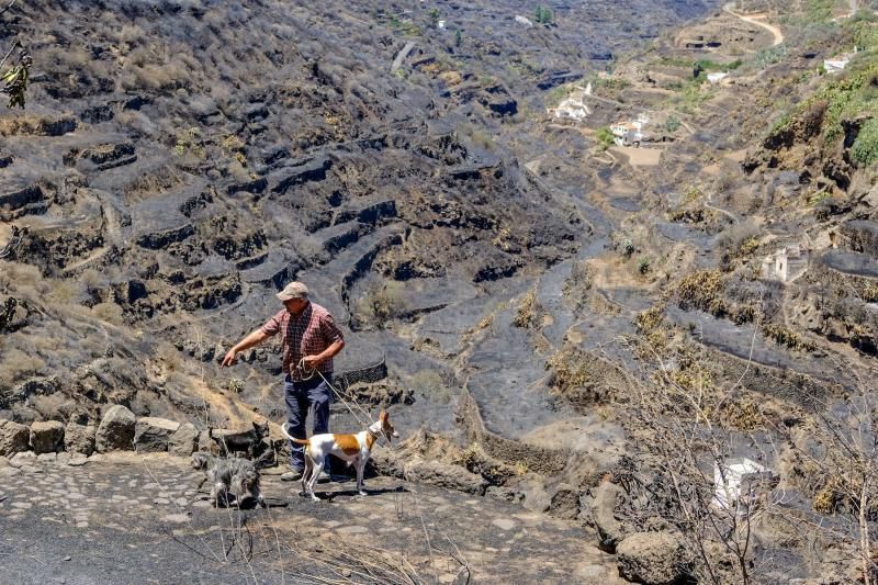 Consecuencias del incendio: De Valleseco a Artenar