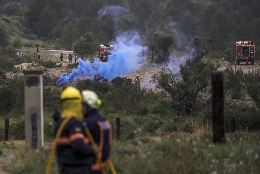 Knapp 500 Feuerwehrleute und Soldaten haben am Donnerstag (27.3.) im Waldgebiet bei Palma den Einsatz gegen einen Großbrand geübt.