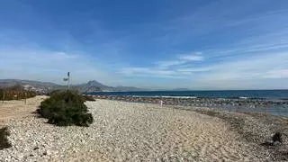 La playa para perros de El Campello, cerrada: el motivo es muy desagradable
