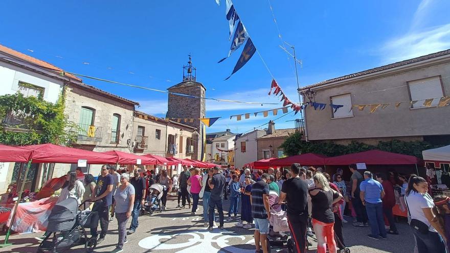 El mercado medieval en las calles de Alcañices durante el domingo, uno de los días de celebración de San Mateo que ha traído actividades y fiestas a la cabeza de comarca. | Ch. S.