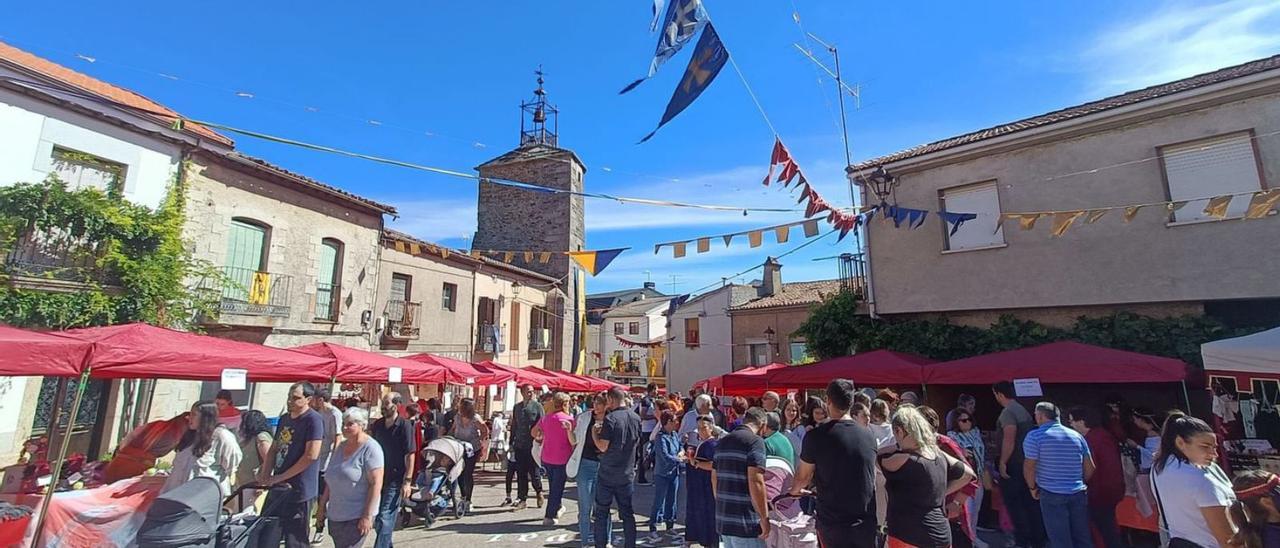 El mercado medieval en las calles de Alcañices durante el domingo, uno de los días de celebración de San Mateo que ha traído actividades y fiestas a la cabeza de comarca. | Ch. S.