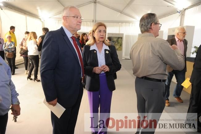 Exposiciones por el Congreso de Cofradías de Murcia