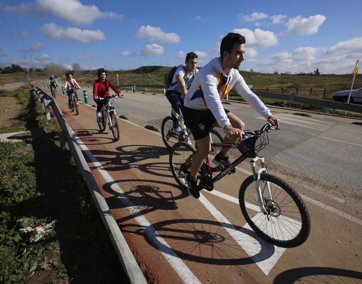 La UCO trabaja para mejorar los carriles bici que dan acceso a los distintos centros de la Universidad. | CÓRDOBA