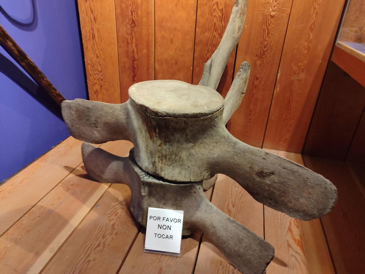 La sala dedicada a la caza de la ballena en el Museo Massó de Bueu