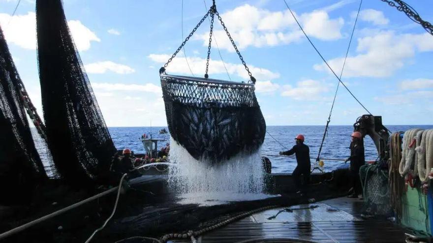 Un barco pesquero de Albo