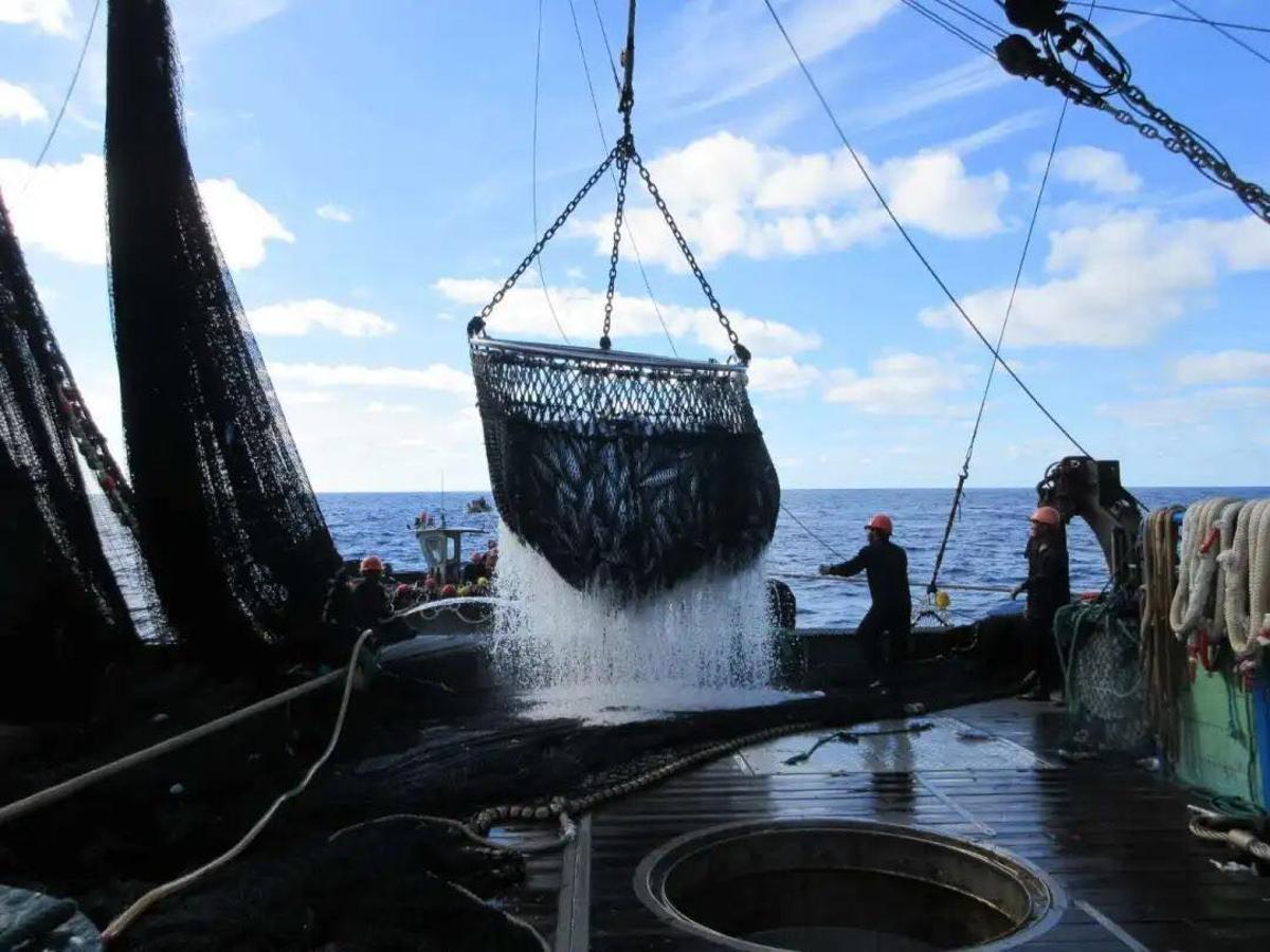 Un barco pesquero de Albo